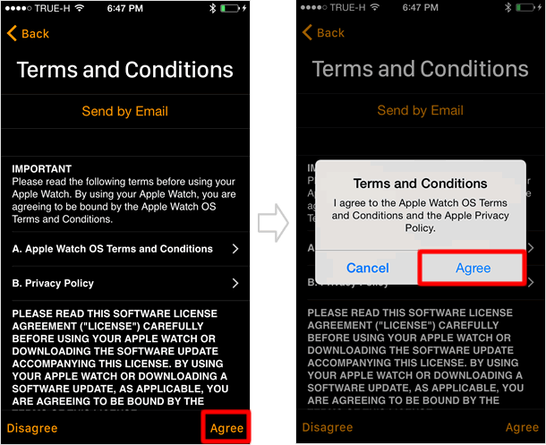 Terms and Conditions