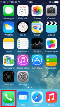 Phone